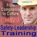 From compliance to culture Online!