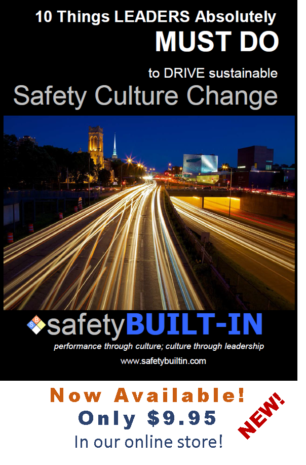 Another New e-Book by safetyBUILT-IN! | safetyBUILT-IN